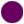 Violetinė