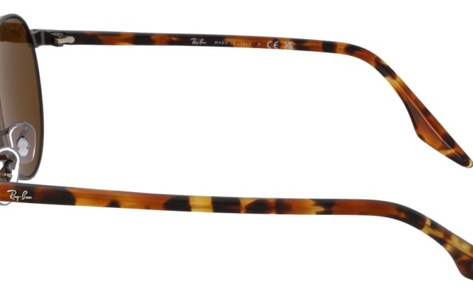 Ray-Ban RB3691