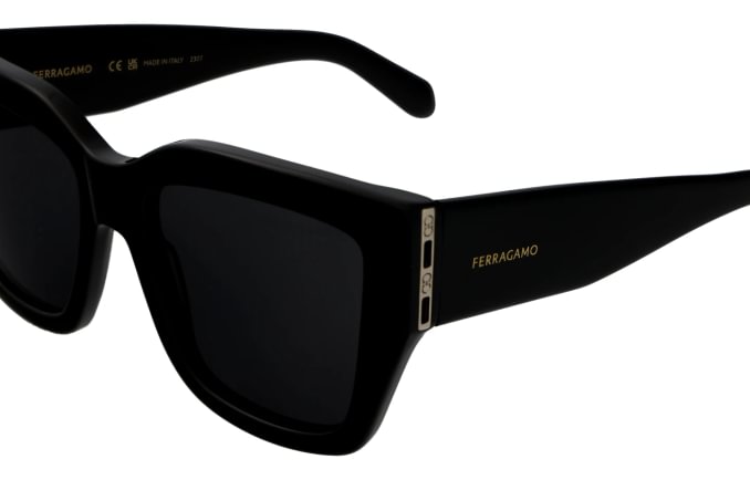 Salvatore Ferragamo SF1104S