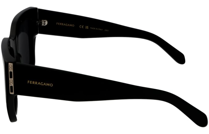 Salvatore Ferragamo SF1104S
