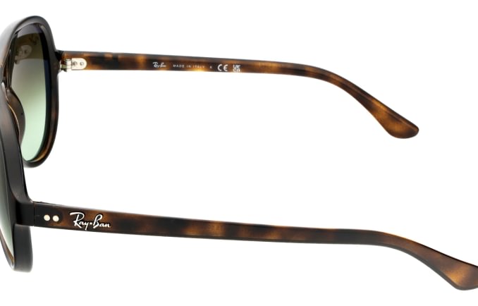 Ray-Ban RB4125