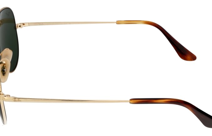 Ray-Ban RB3689