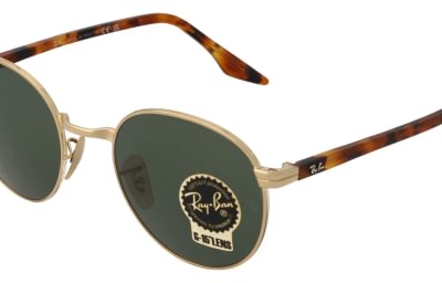 Ray-Ban RB3691