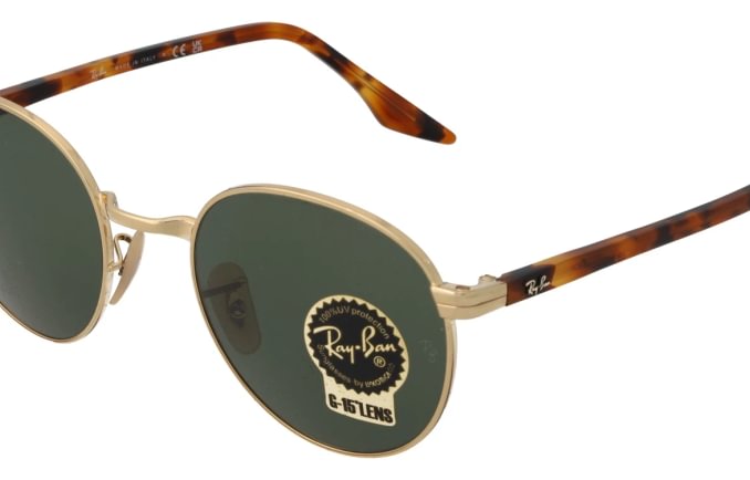 Ray-Ban RB3691