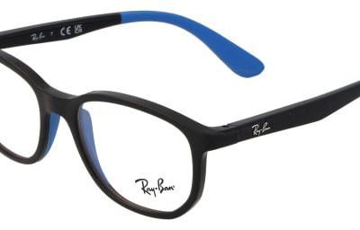 Ray-Ban RB1619