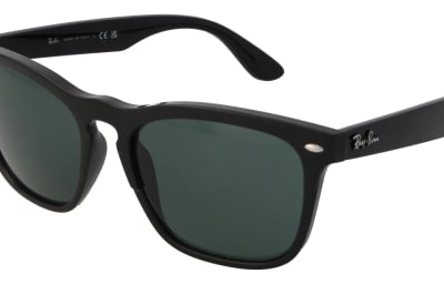 Ray-Ban RB4487