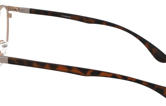 Eyewear E2096