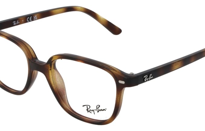 Ray-Ban RB9093V