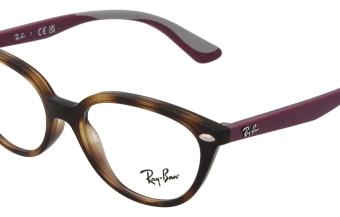 Ray-Ban RB1612