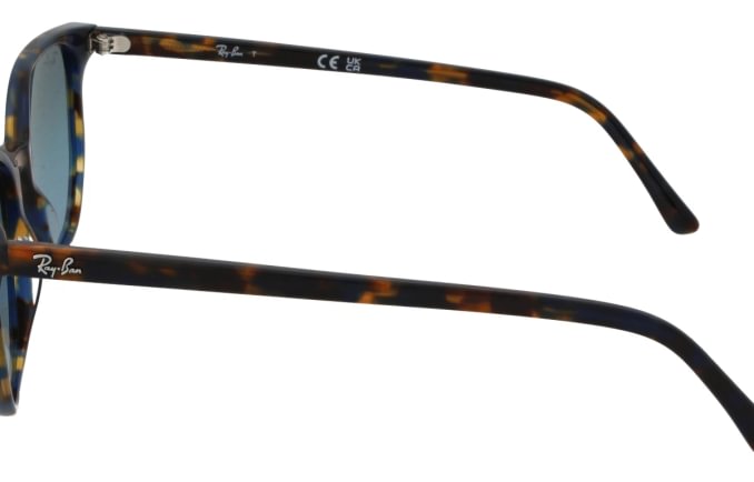 Ray-Ban RB2197
