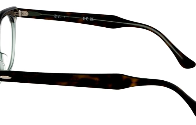 Ray-Ban RB5598