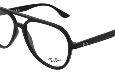 Ray-Ban RB4376V