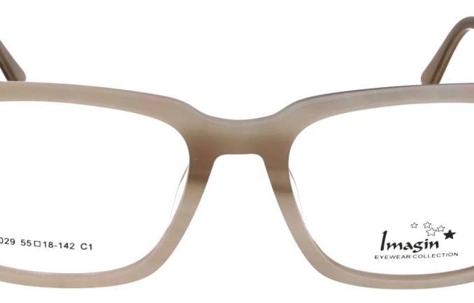 Imagin I9029