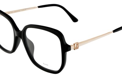 Jimmy Choo JC376