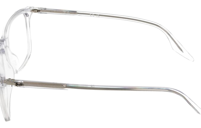 Ray-Ban RX5421