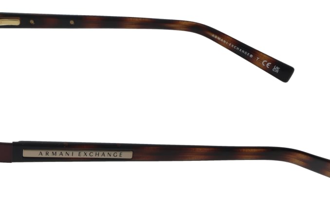 Armani Exchange AX1010