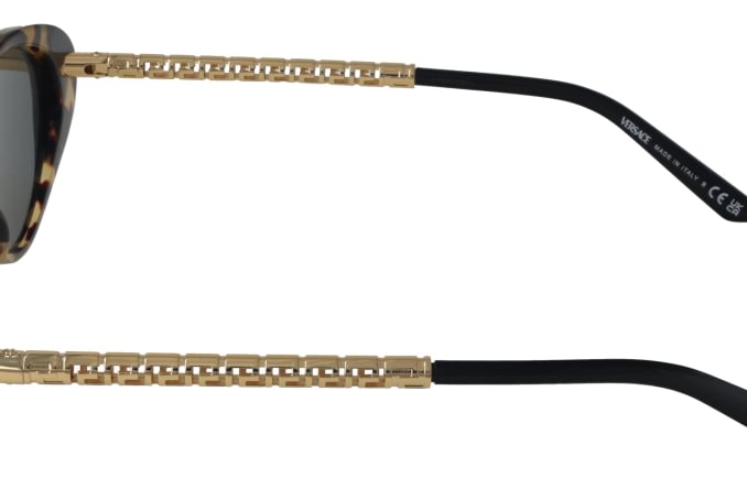 Versace VE4469