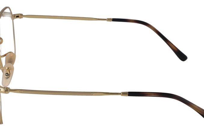 Ray-Ban RB3694V