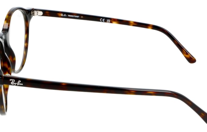 Ray-Ban RB2230