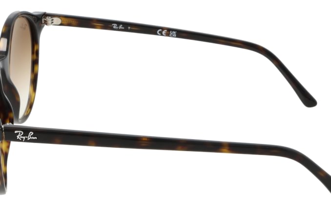 Ray-Ban RB2230