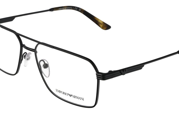 Emporio Armani EA1166
