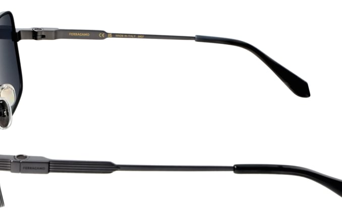 Salvatore Ferragamo SF318S