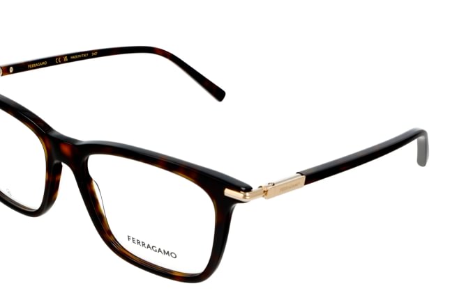 Salvatore Ferragamo SF3007