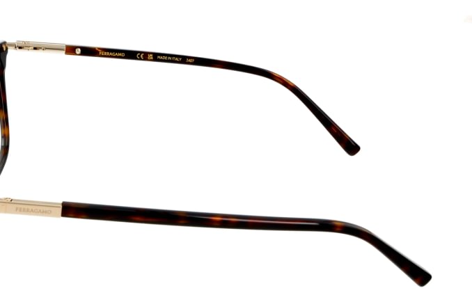 Salvatore Ferragamo SF3007
