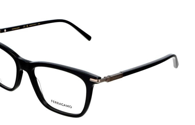 Salvatore Ferragamo SF3007