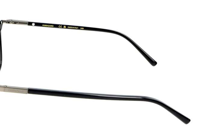 Salvatore Ferragamo SF3007