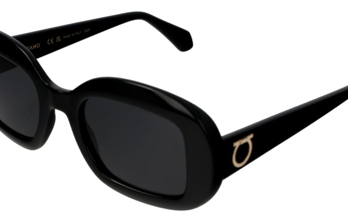 Salvatore Ferragamo SF2038SE