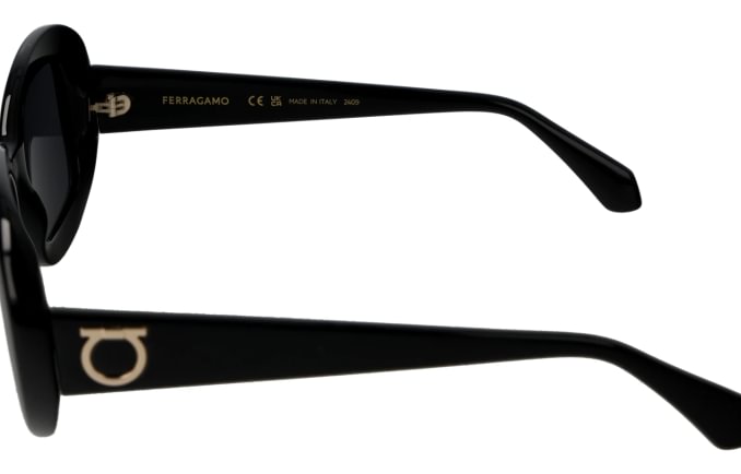 Salvatore Ferragamo SF2038SE