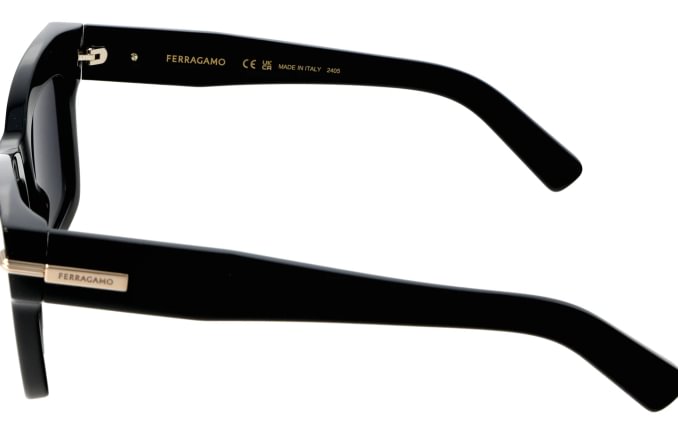 Salvatore Ferragamo SF2031S