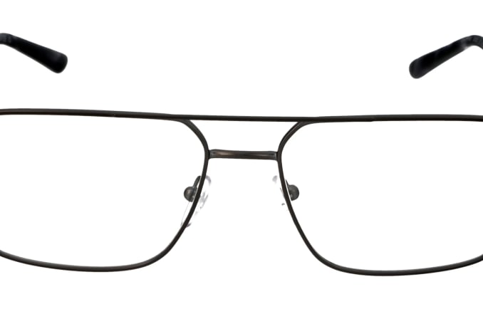 Emporio Armani EA1166