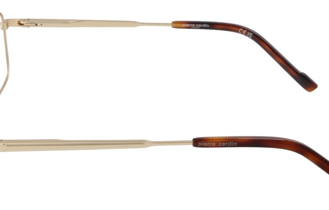 Pierre Cardin P.C.6900