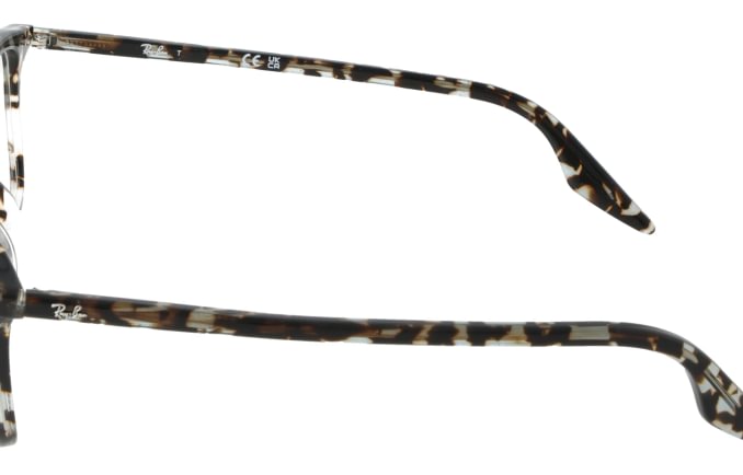 Ray-Ban RX5421