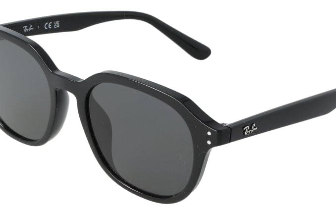 Ray-Ban RB4459D