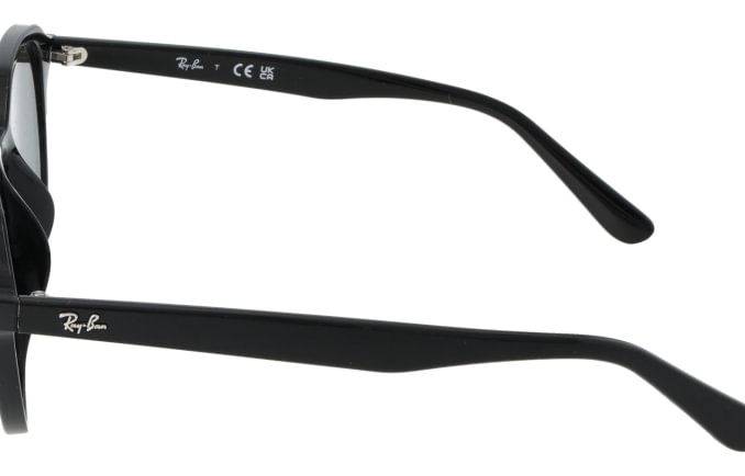 Ray-Ban RB4459D