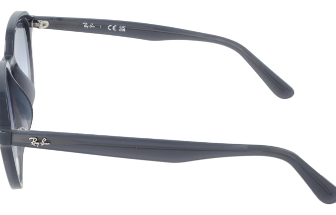Ray-Ban RB4459D