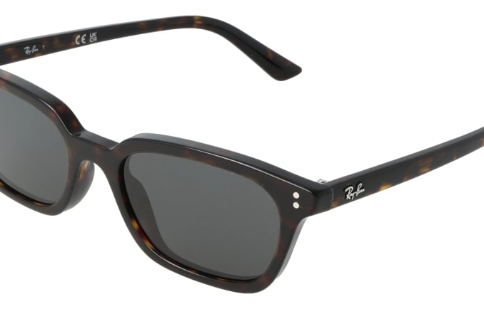 Ray-Ban RB4456