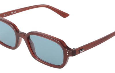 Ray-Ban RB4455