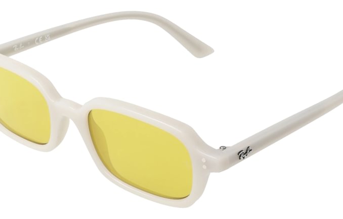 Ray-Ban RB4455