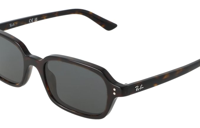 Ray-Ban RB4455