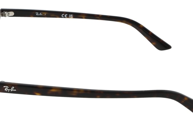 Ray-Ban RB4455