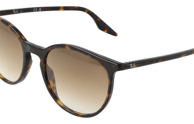 Ray-Ban RB2204