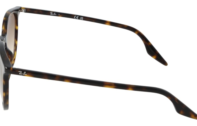 Ray-Ban RB2204