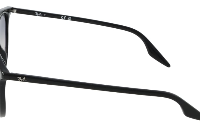 Ray-Ban RB2204