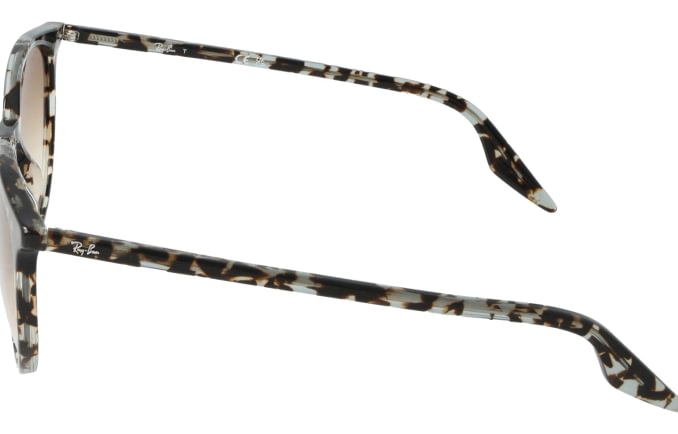 Ray-Ban RB2204