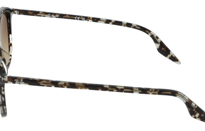 Ray-Ban RB2203