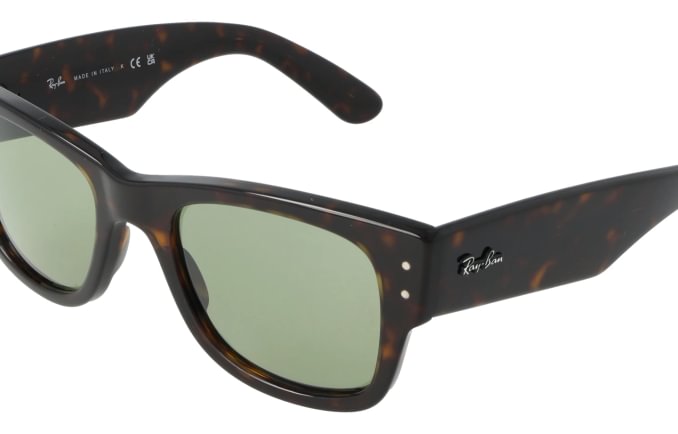 Ray-Ban RB0840S
